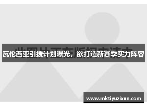 瓦伦西亚引援计划曝光，欲打造新赛季实力阵容